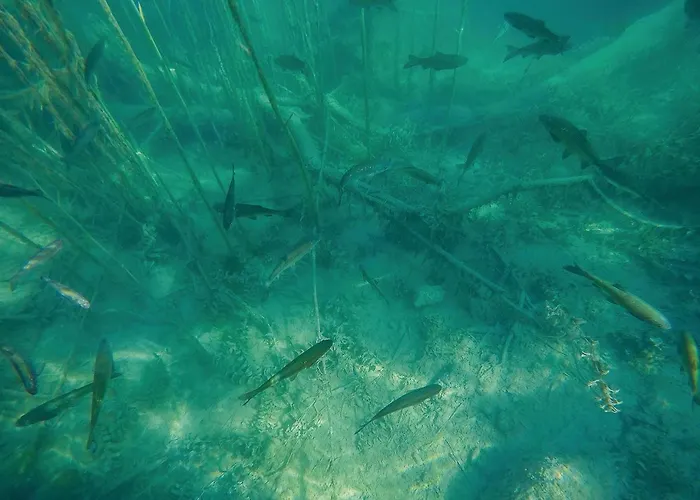 Gorgeous In With Sauna Siveric